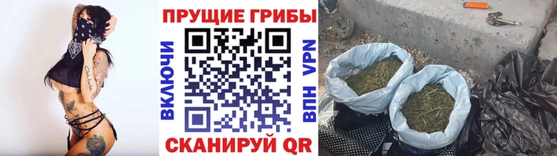 Галлюциногенные грибы Magic Shrooms  Нюрба 